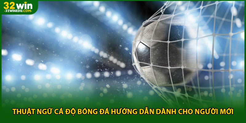 Thuật Ngữ Cá Độ Bóng Đá Hướng Dẫn Dành Cho Người Mới