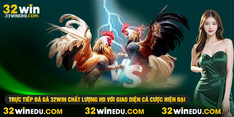 Trực tiếp đá gà 32WIN chất lượng HD với giao diện cá cược hiện đại